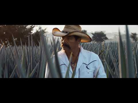 Jose Cuervo - The Spirit of Mexico