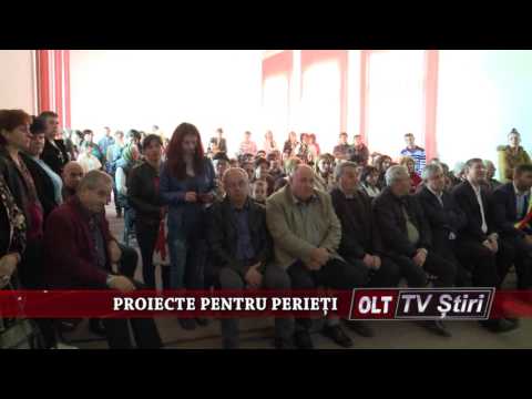 PROIECTE PENTRU PERIETI 0803