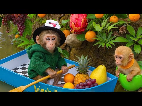 Ken Monkey harvests fruit and finds a mysterious egg that hatches a baby monkey