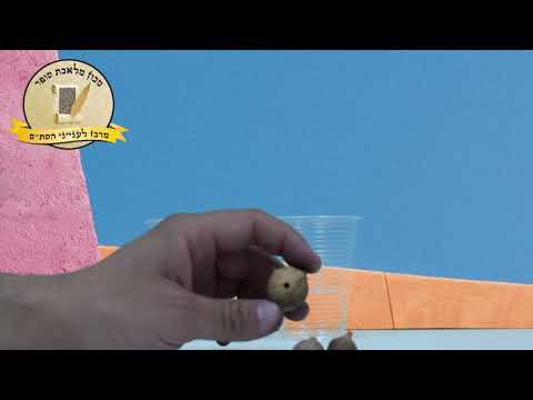 איך מכינים דיו לסת''ם