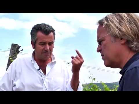 JAMESSUCKLING.COM - Casanova di Neri: Cerretalto - The Vineyard