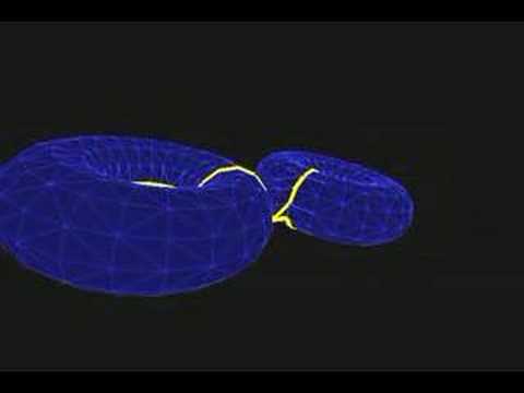 Cutting a Torus into a Disk