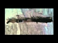 Furia Trailer HD