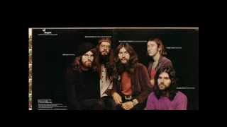 Wild turkey - Social world