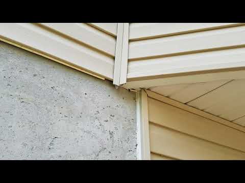 Yellow Jackets Come Inside Home in West Windsor, NJ