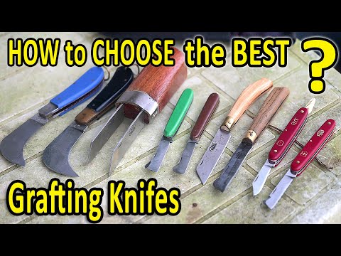 Grafting Fruit Trees | HOW to Choose the BEST GRAFTING KNIFE?
