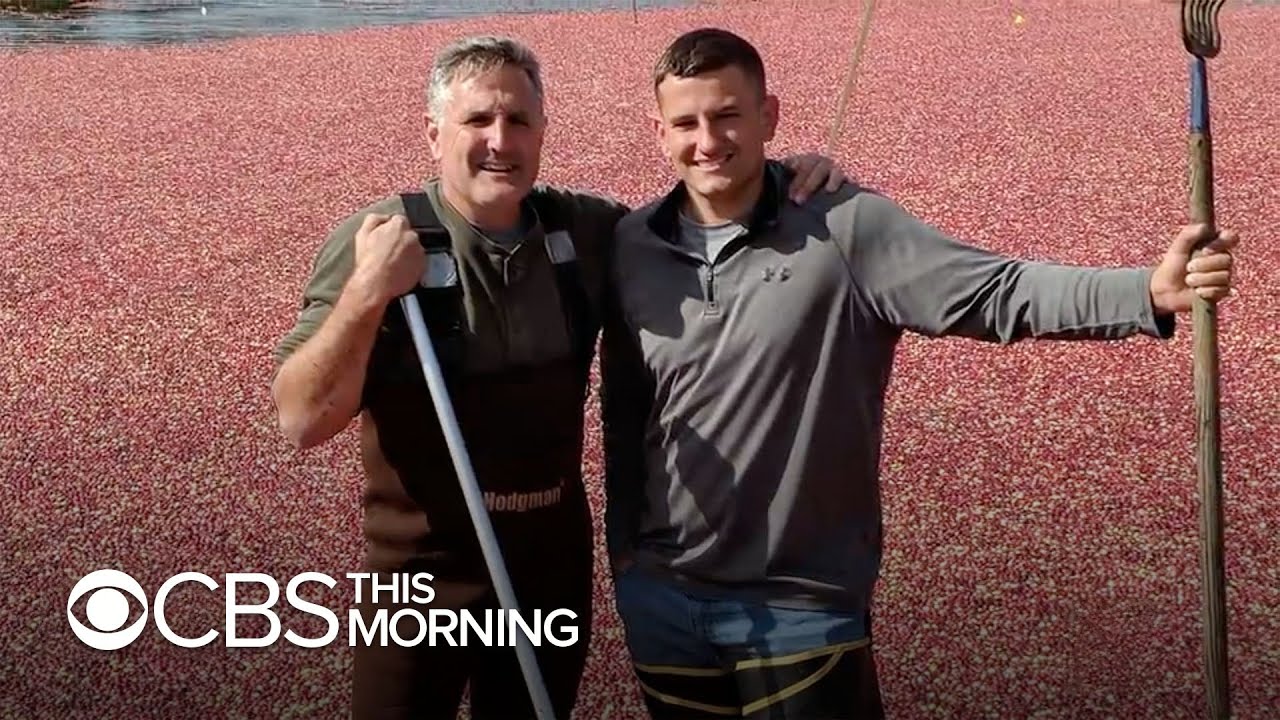 From farm to holiday dinner table: A look at the evolving cranberry industry