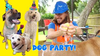 Handyman Hal gives dogs a bath | Learn about dogs