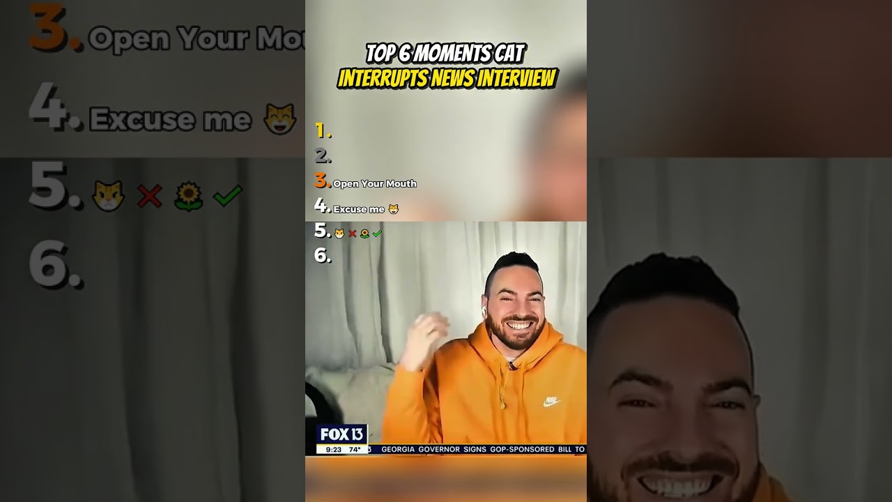 Top 6 Moments Cat Interrupts News Interview 😾😸 #cat  #shorts