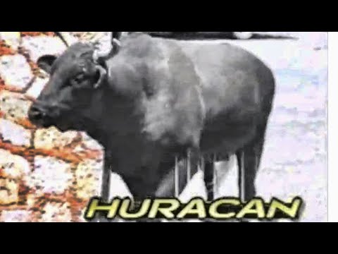 MEMORIAS DEL TORO DEL SIGLO EL HURACAN PELICULA COMPLETA