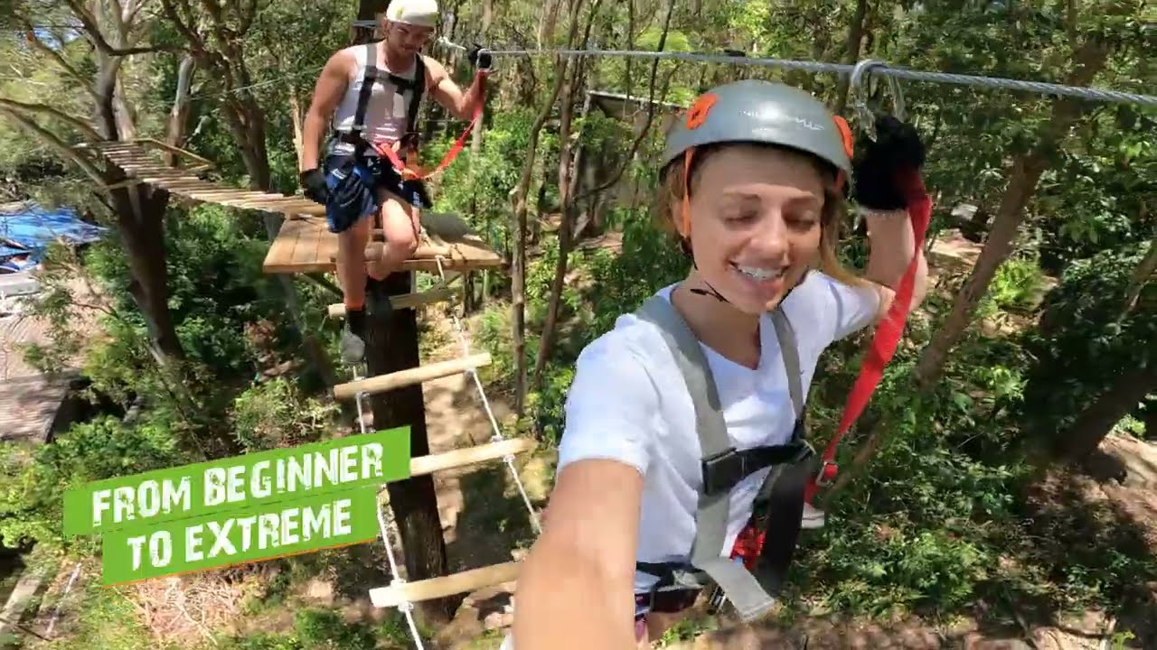 Discover a peek into Treetop Challenge at Currumbin Wildlife Sanctuary.