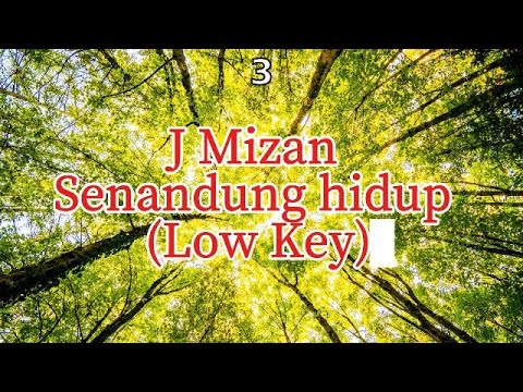 KARAOKE SENANDUNG HIDUP - J MIZAN (LOW KEY)