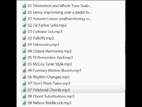 Lenny Breau LIVE shit.