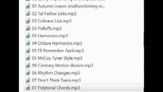 Lenny Breau LIVE shit.