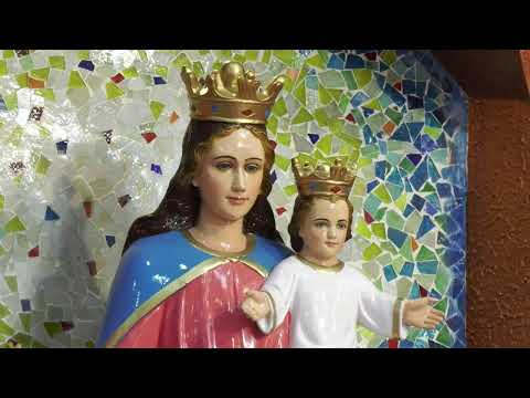 DAILY HOLY MASS Live @ 7.00 pm - 16.06.2020