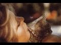 Brigitte Bardot - La chasse 