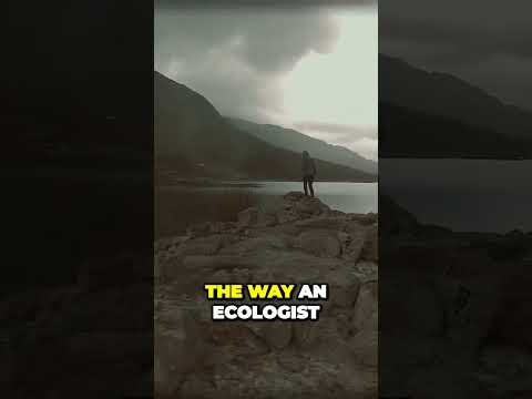 The Mind-blowing Truth About Our Place in the Universe