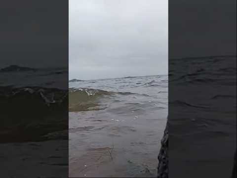 Nature view #nature #food #arijit singh #hasitha