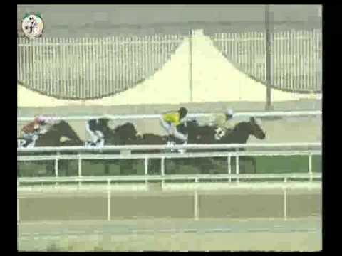 H.H. The Emir's Trophy 2012, Gr.1