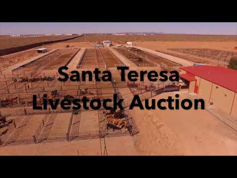 Gerald H. Timmerman (STLA)