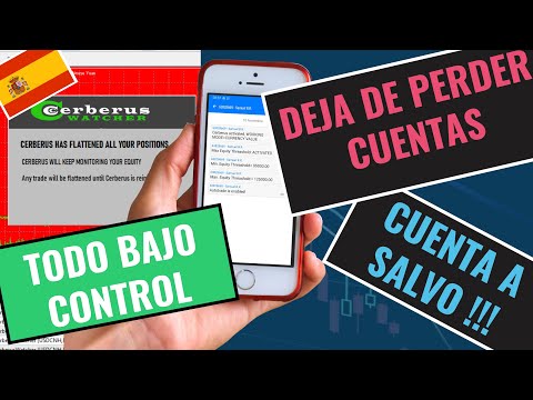 Video Cerberus Equity Watcher