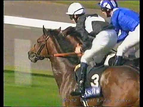 2002 Royal Lodge Stakes Al Jadeed Beats Van Nistlerooy Inc Replay