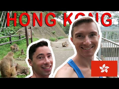 Gay Couple in Hong Kong : Monkeys and 10,000 Buddhas