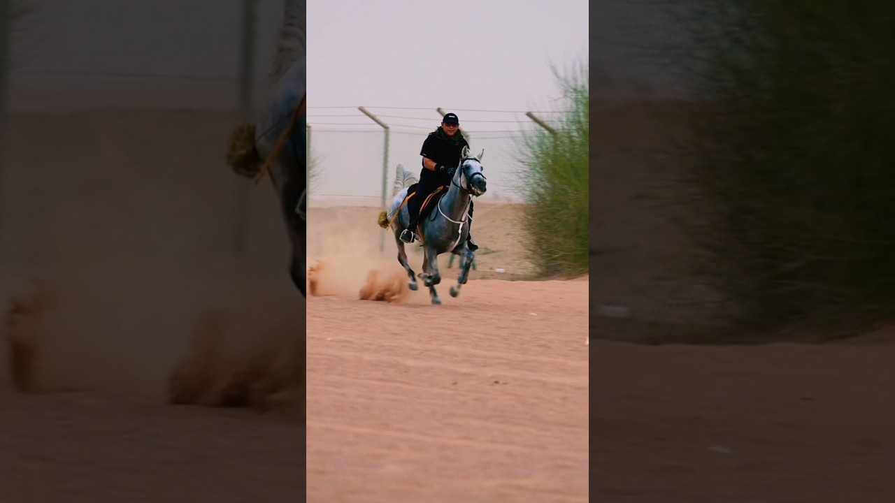 🐎🔥 Horse Speed Up | Fast & Powerful Ride 🤯