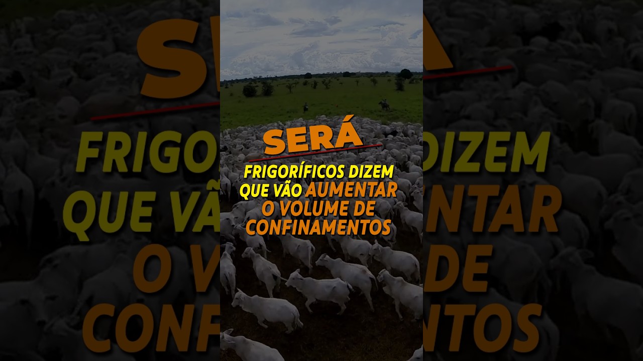 SERÁ? FRIGORÍFICOS DIZEM QUE VÃO AUMENTAR O VOLUME DE CONFINAMENTOS PRÓPRIOS!