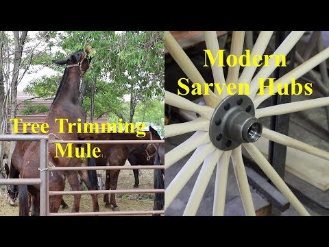 Tree Trimming Mule | Roller Bearing Sarven Hubs | Engels Coach Shop
