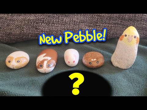 Piggy Pebbles Surprise! Mary Nell Malone's Incredible Art