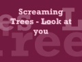 Screaming Trees - Look at you (Dust) 