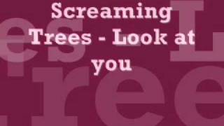 Screaming Trees - Look at you (Dust)
