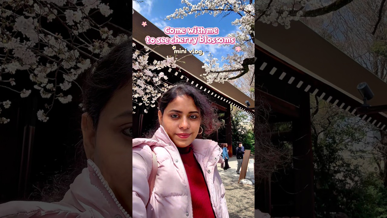 🌸cherry blossoms paaka polam vanga 🌸#shorts #shortsvideo #trending#lifeinjapan #fypシ