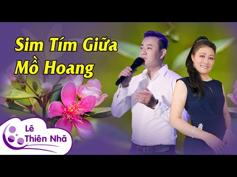 Sim tím giữa mồ hoang - Đình Hội