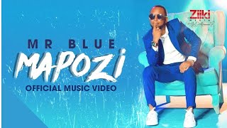 MAPOZI  MR BLUE  Official Video