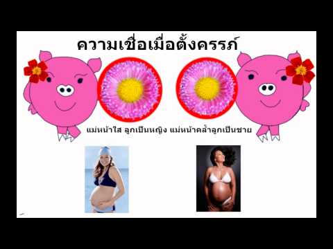 ซื้ออุปกรณ์สำหรับแรง คลินิกศัลยกรรมเพิ่มสมาชิก