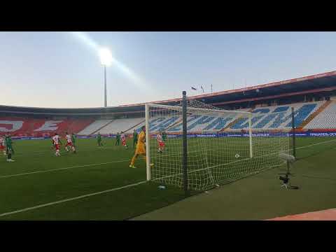 Crvena zvezda 2:0 Novi Pazar / Ivanić