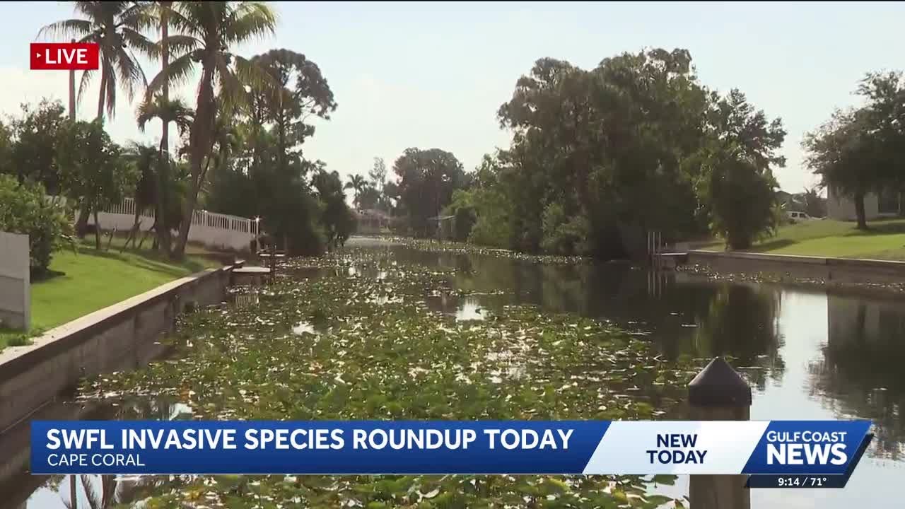 Anglers reel in invasive species at 2026 Southwest Florida Invasive Freshwater Fish Roundup