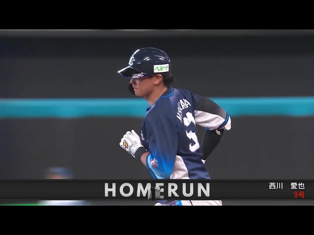 西武ライオンズ　日本ハムファイターズ　試合球 西武ライオンズ 日本ハムファイターズ 試合球 公式】北海道日本