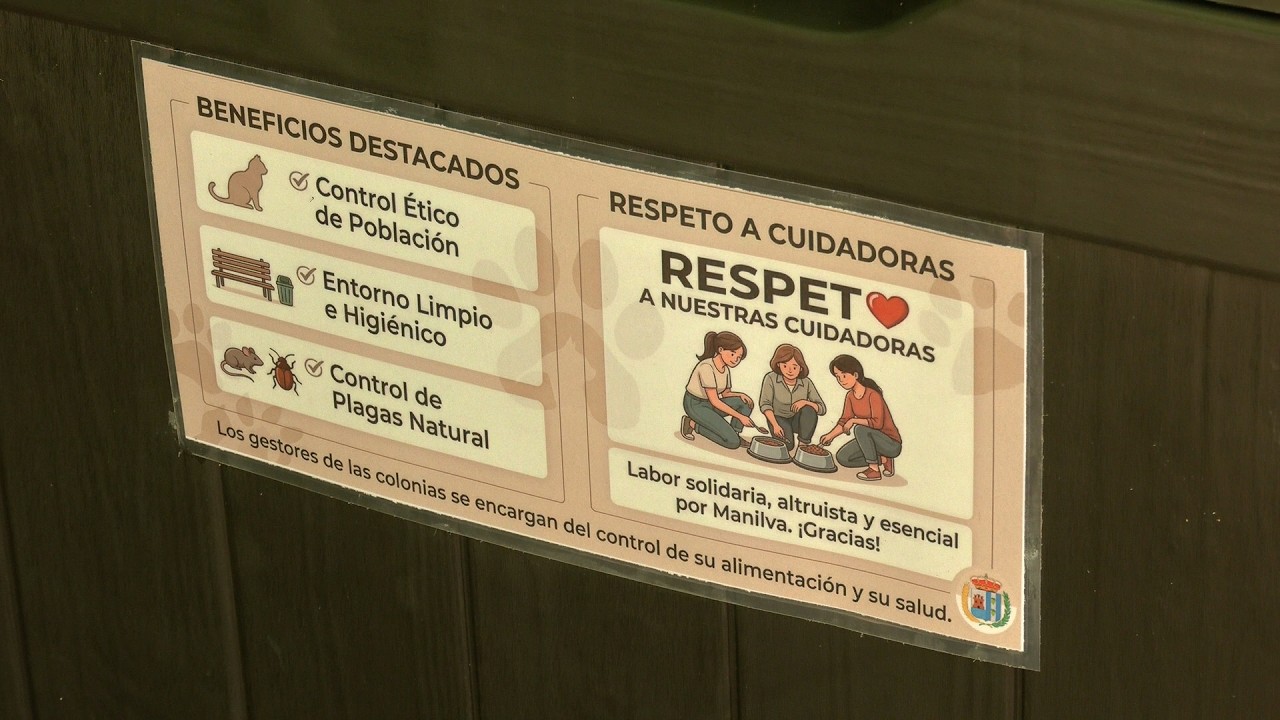 Medio ambiente mejora las Colonias felinas