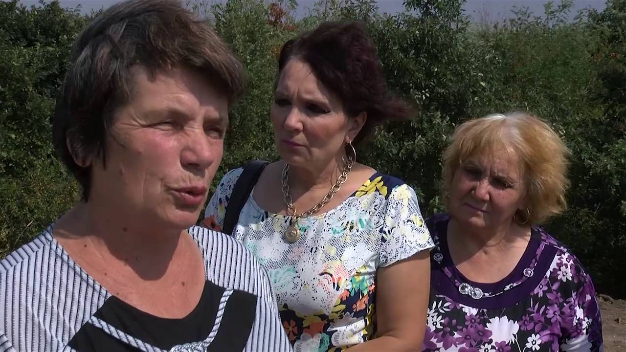 16-метров кръст бди над димитровградското село Бряст