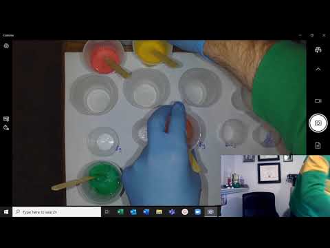 Lab 8.1.2 - Amount of Borax and Bounce Height