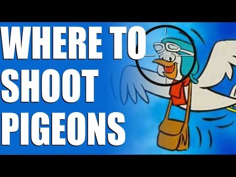 Fieldsports Britain – Pigeons with airguns and rabbit hunting