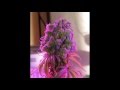 Afu Ra - Only You (Smoke Weed dope Canabis Video)