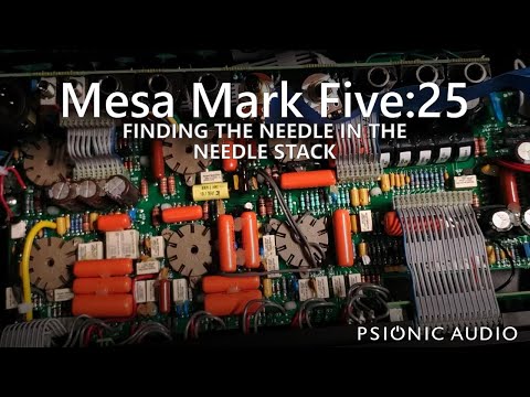 Mesa Mark Five:25 | Finding The Needle In The Needle Stack