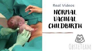 Download lagu NORMAL VAGINAL CHILDBIRTH mp3