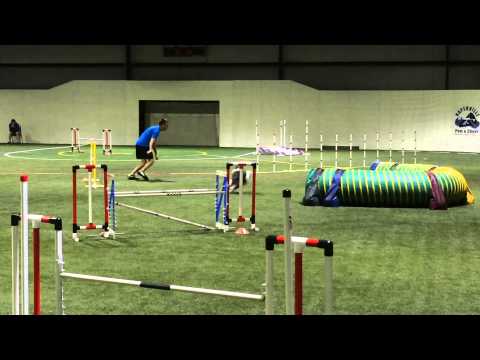 Merlin - Steeplechase Finals 04/12/2015