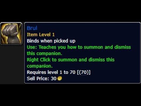 How To Get The Pet Brul! (Worth Farming)