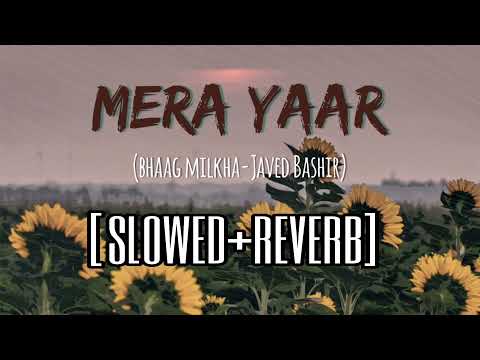 Mera Yaar | Slowed+Reverb | Javed Bashir | Bhaag Milkha Bhaag | Lofi